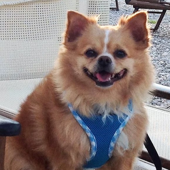 Meet your Posher, Erma - Picture 1 of 2